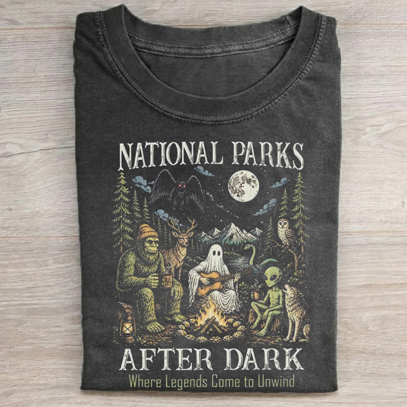 National Parks After Dark T-Shirt
